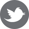Twitter - X